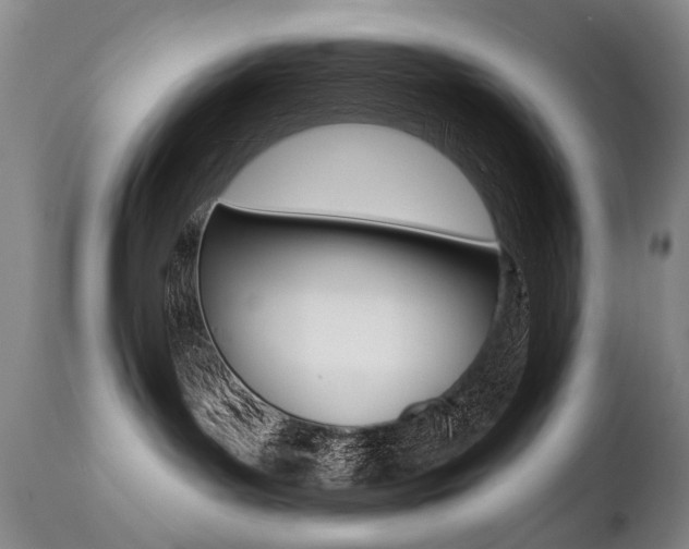 X0000112460143200908171025
