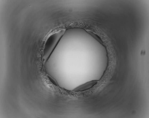 X0000112460144200908171025