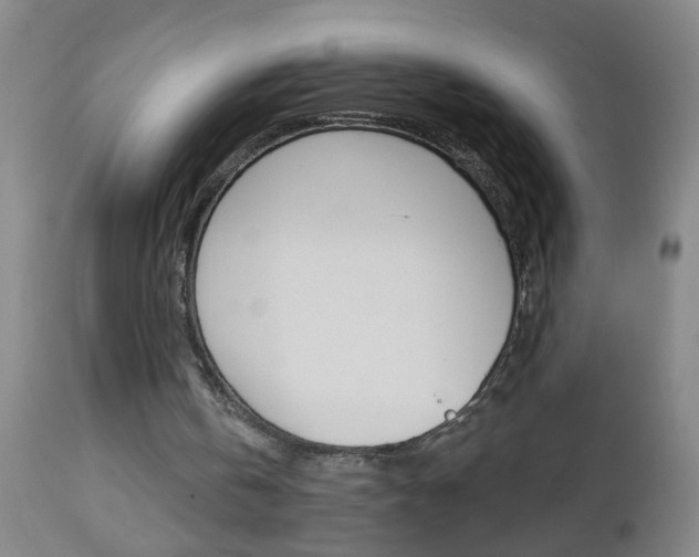 X0000112460146200908171024