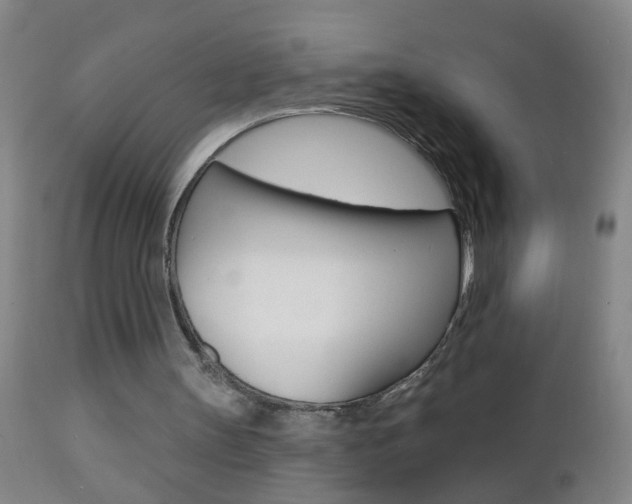 X0000112460147200908171024
