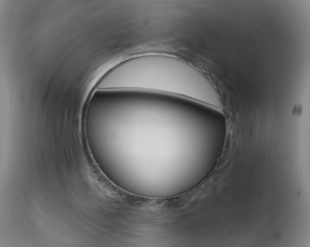 X0000112460148200908171024