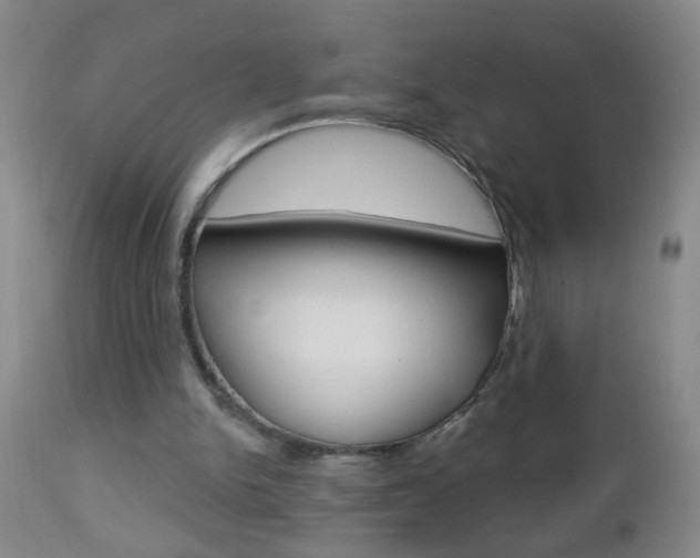 X0000112460150200908171024