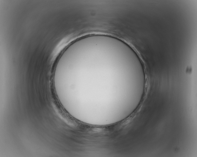 X0000112460151200908171024