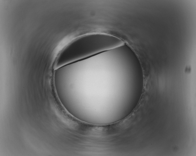 X0000112460152200908171024