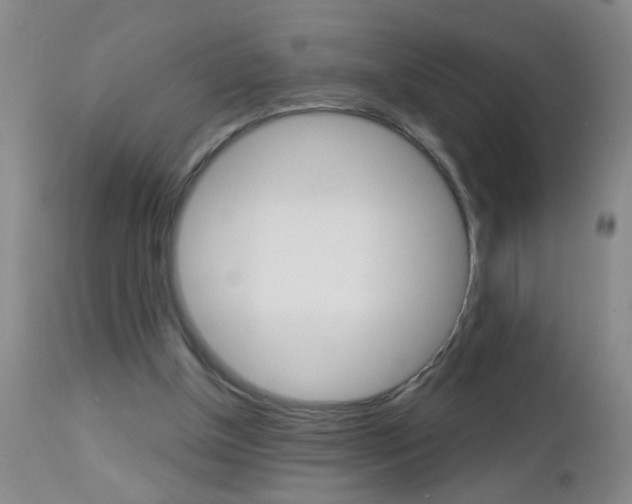 X0000112460154200908171024