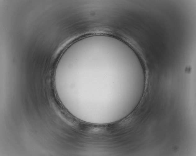 X0000112460155200908171024