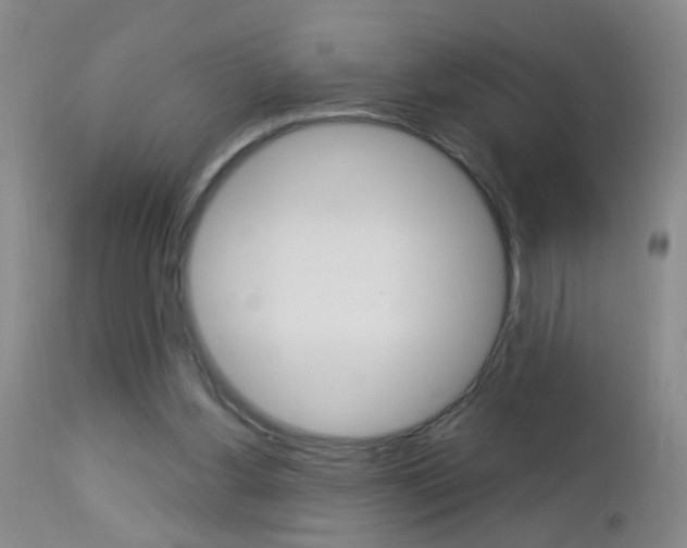 X0000112460156200908171024