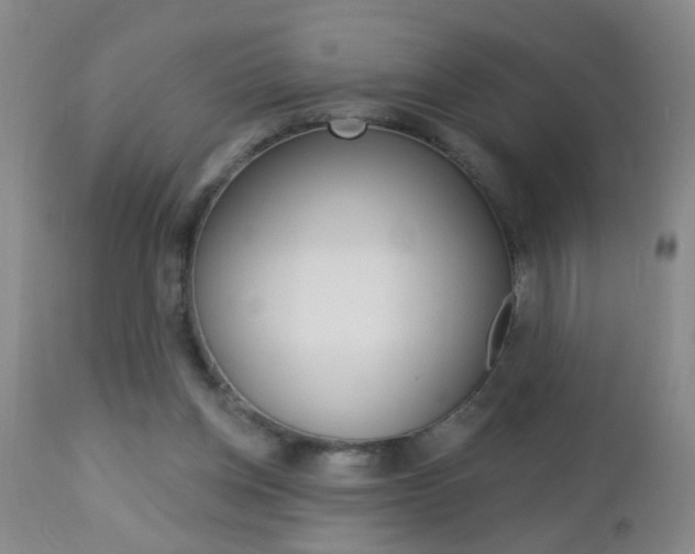 X0000112460158200908171024