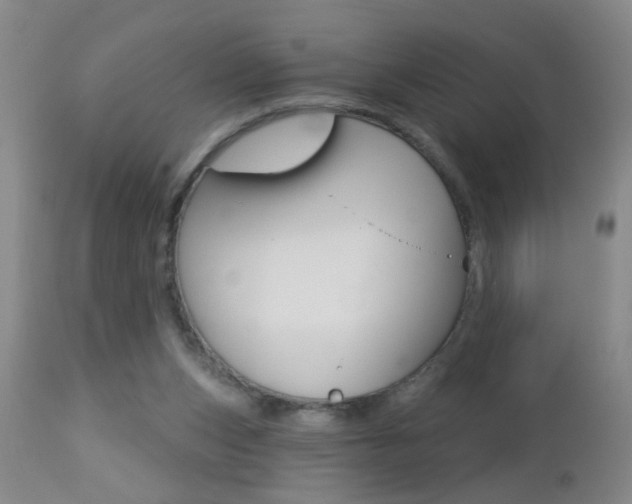 X0000112460159200908171024