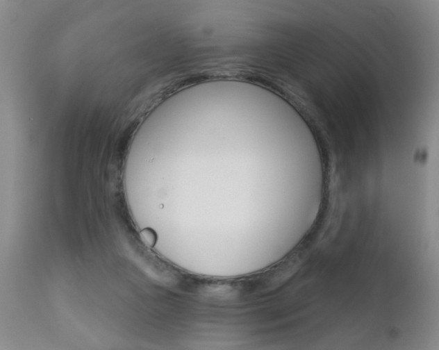 X0000112460161200908171024