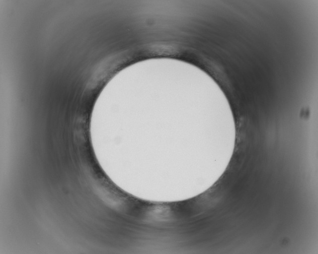 X0000112460162200908171024