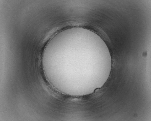 X0000112460163200908171024