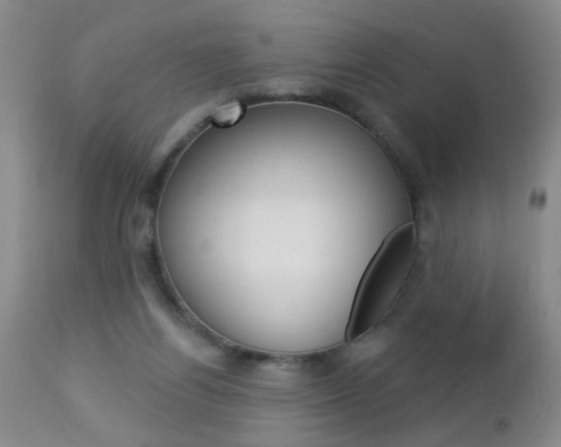 X0000112460164200908171024