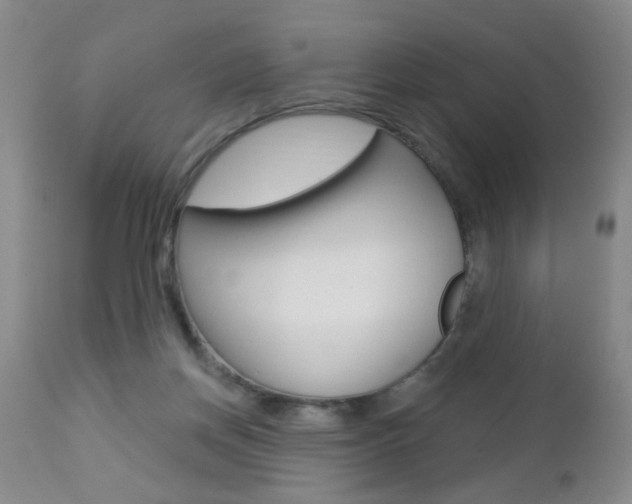 X0000112460166200908171024