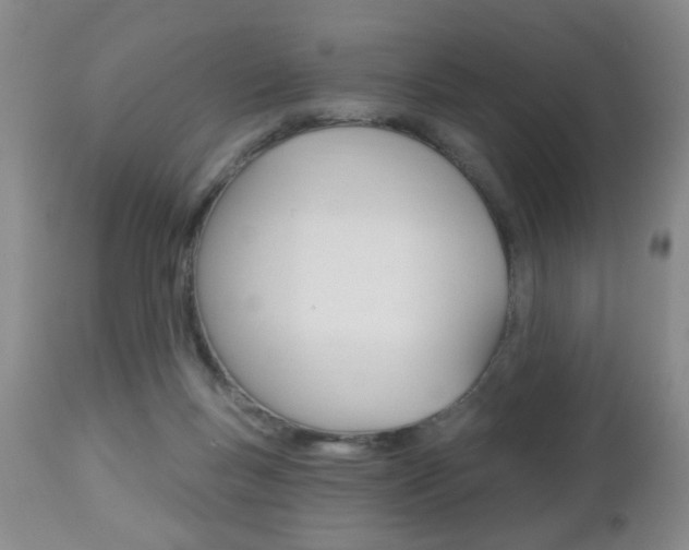 X0000112460167200908171024