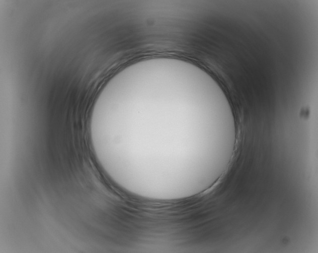 X0000112460170200908171024