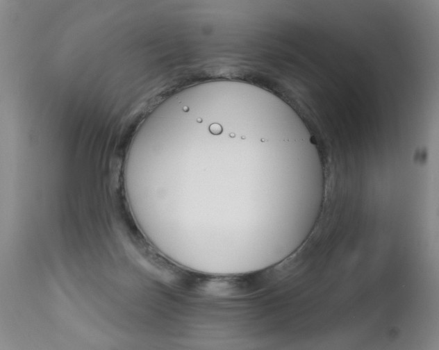 X0000112460171200908171024