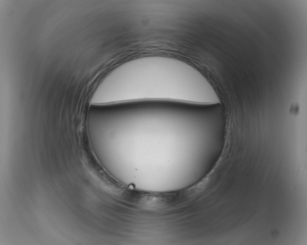 X0000112460174200908171024