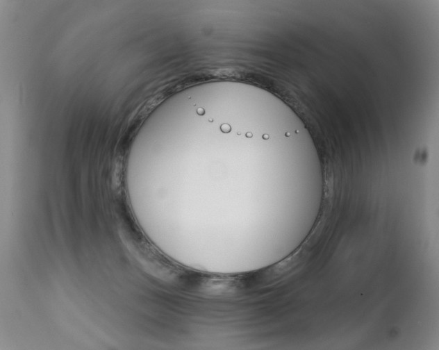 X0000112460175200908171025