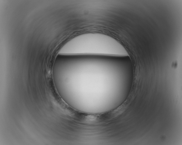 X0000112460176200908171025