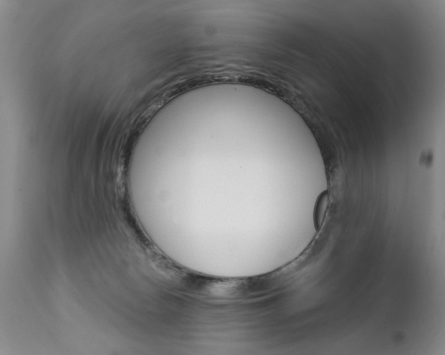X0000112460178200908171025