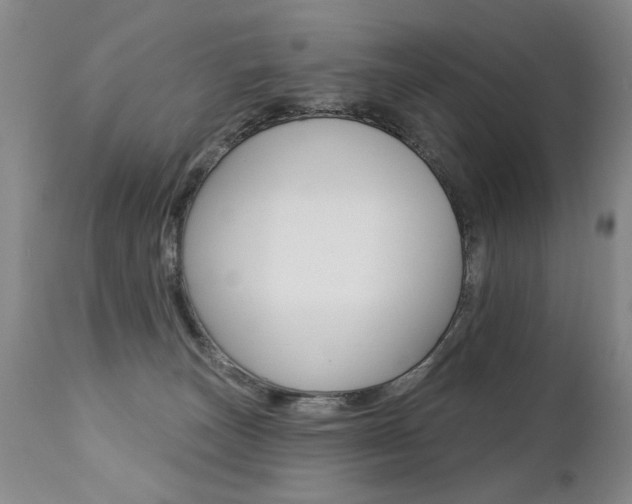 X0000112460179200908171025