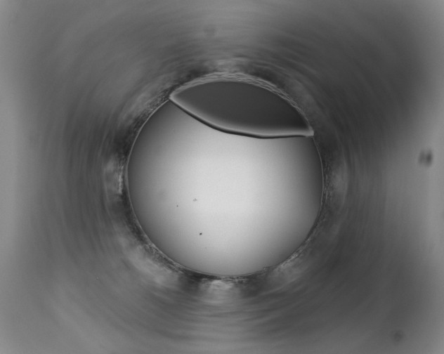 X0000112460180200908171025