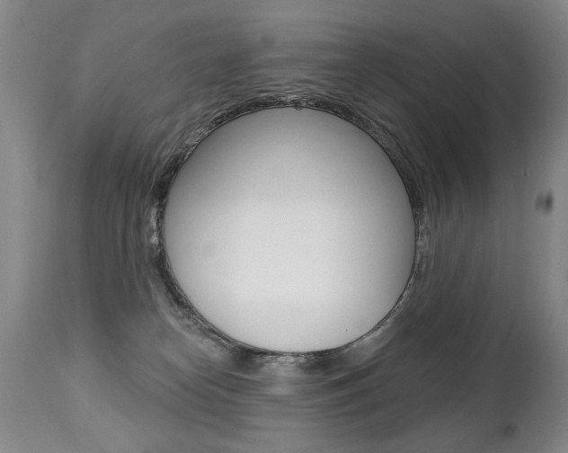 X0000112460182200908171025