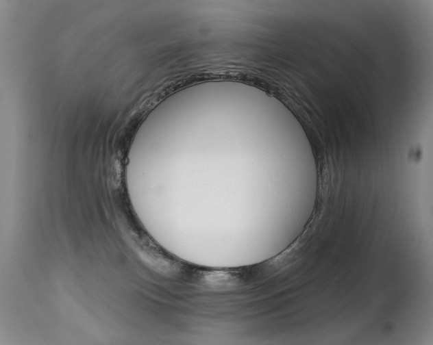 X0000112460183200908171025