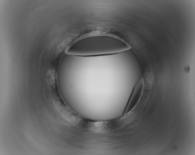 X0000112460184200908171025
