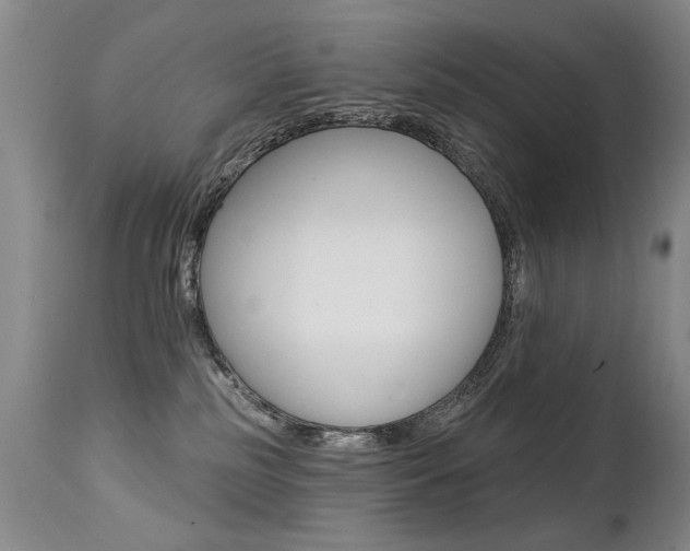 X0000112460185200908171025