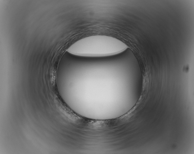 X0000112460186200908171025