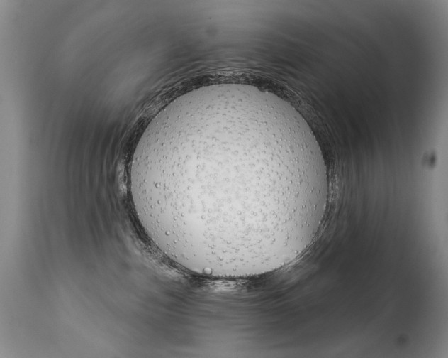 X0000112460187200908171025