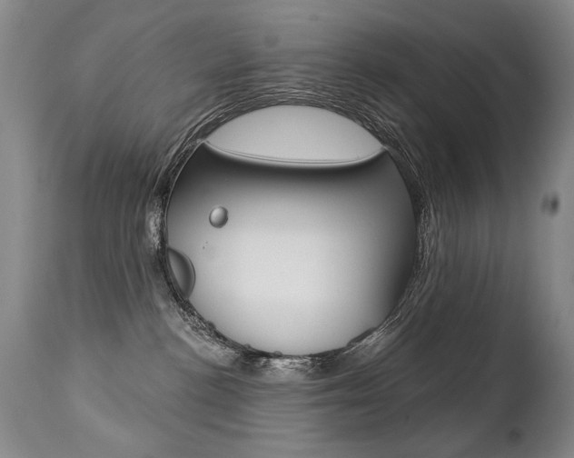 X0000112460188200908171025