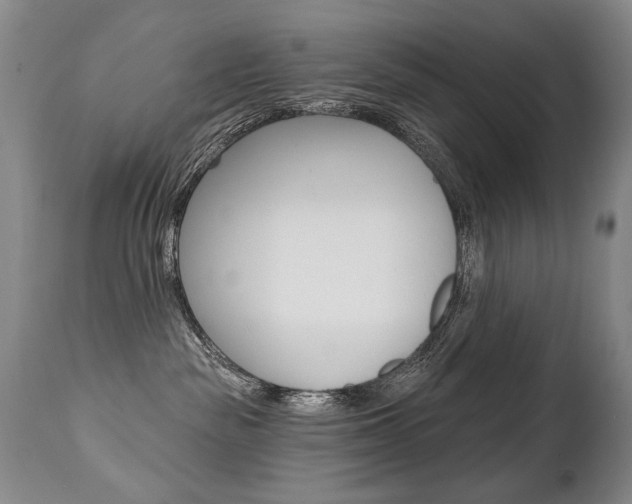 X0000112460189200908171025
