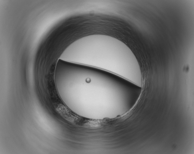 X0000112460190200908171025