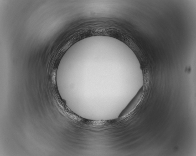 X0000112460191200908171025