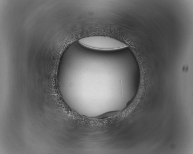 X0000112460192200908171025