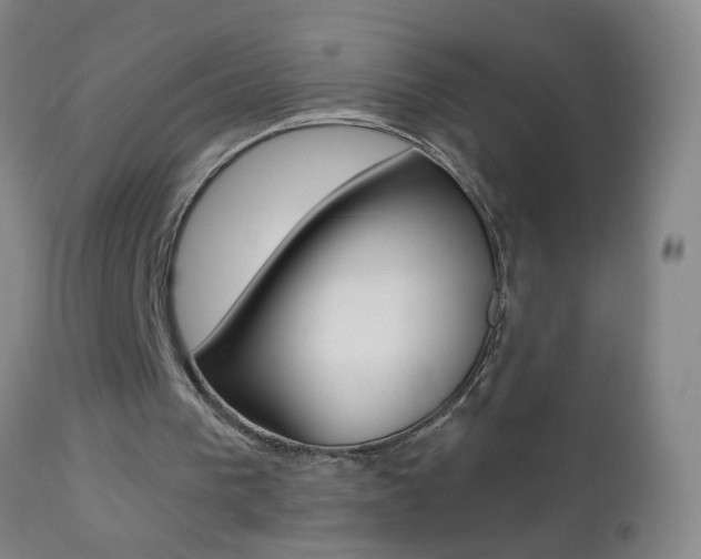 X0000112460193200908171024