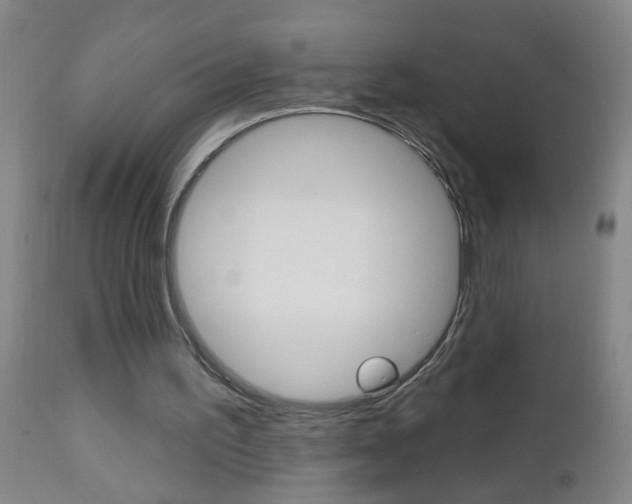 X0000112460195200908171024