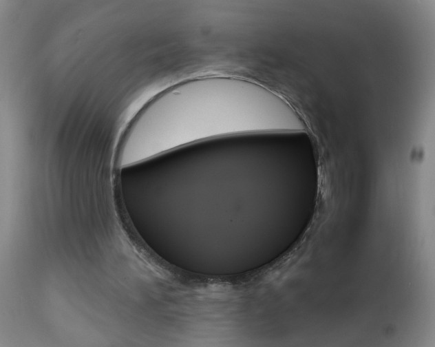 X0000112460196200908171024