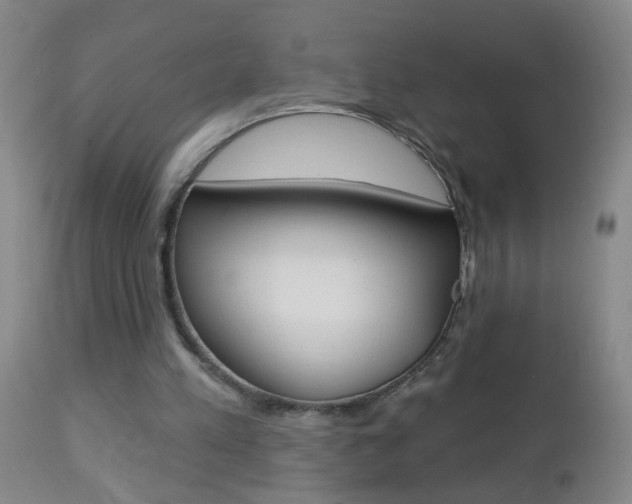 X0000112460197200908171024