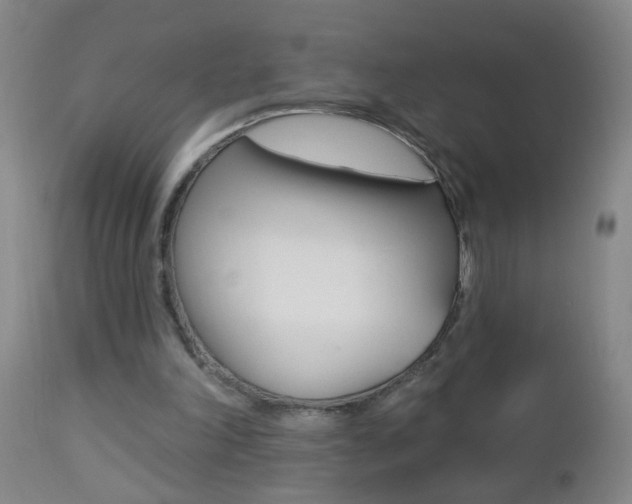 X0000112460198200908171024
