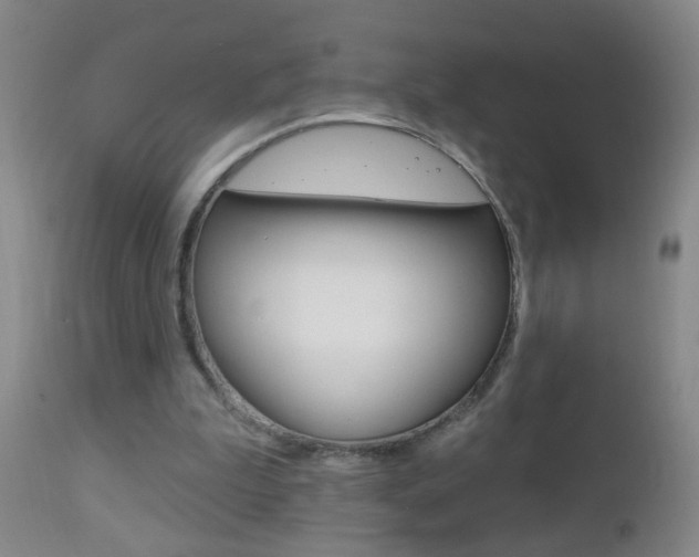 X0000112460199200908171024