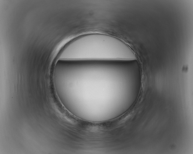 X0000112460200200908171024