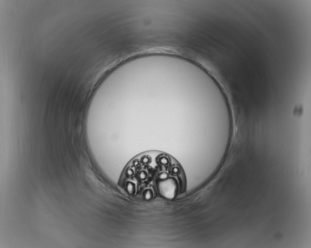 X0000112460201200908171024