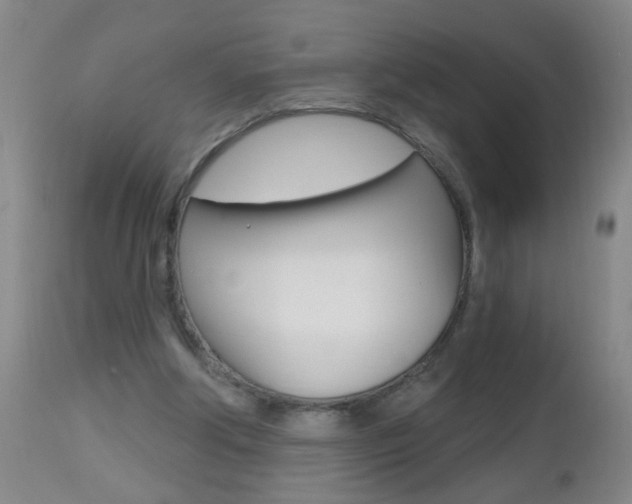 X0000112460202200908171024