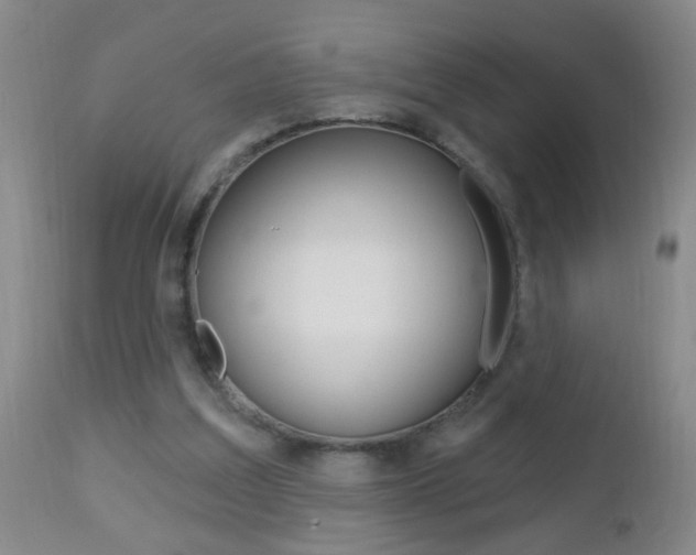 X0000112460203200908171024