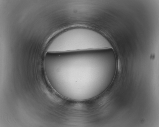 X0000112460204200908171024