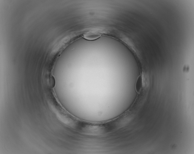 X0000112460205200908171024